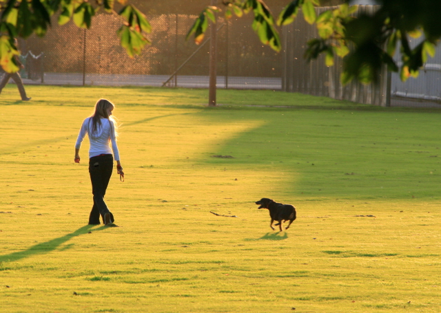 Midday walks so nobody's crossing their legs at home. 🐾