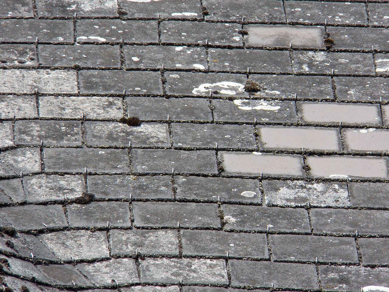 Shingle repair after the wind took a few. Watertight again. ๐